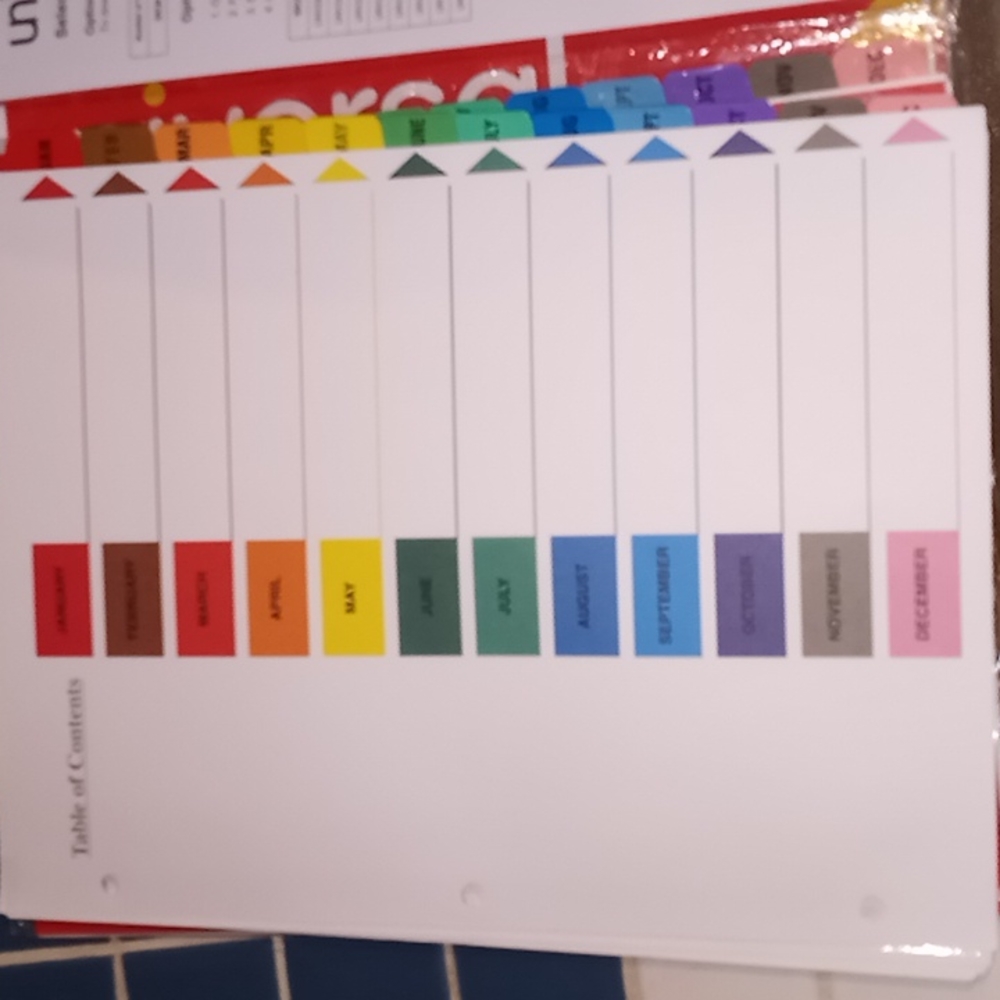 (Set of 3) 12 Month file divider full page inserts.